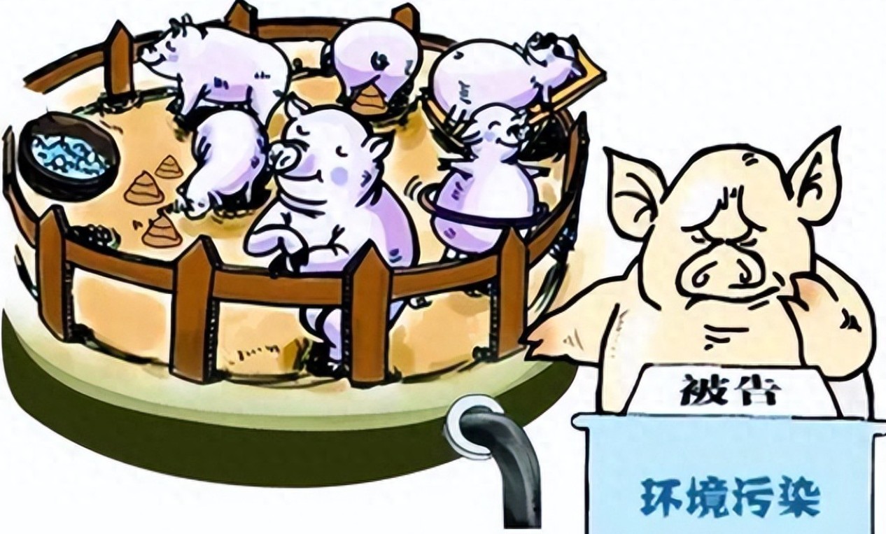 畜禽養殖環境污染.jpg