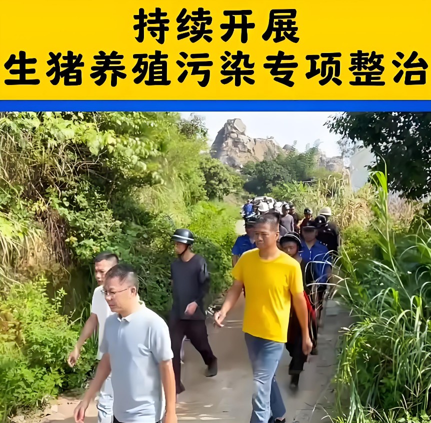 畜禽養殖環境污染專項整治.jpg