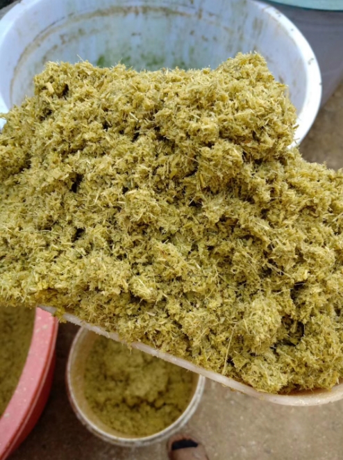 發酵牧草2.jpg